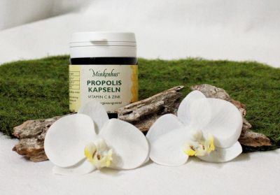 Propoliskapseln 30 Stk.